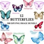 Watercolor Butterfly Clipart