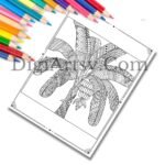 Kids color Drawings