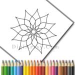 Flower Mandalas