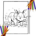 Kids color Drawings