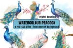 Watercolor Peacock Clipart Collection