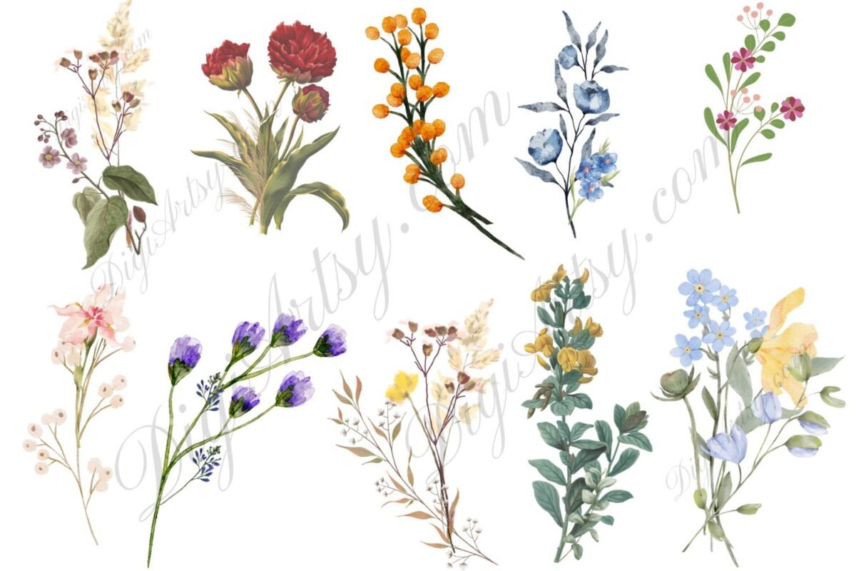 Watercolor Floral Elements clipart