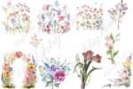 Neutral Floral Clipart