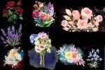 Wild Floral Clipart