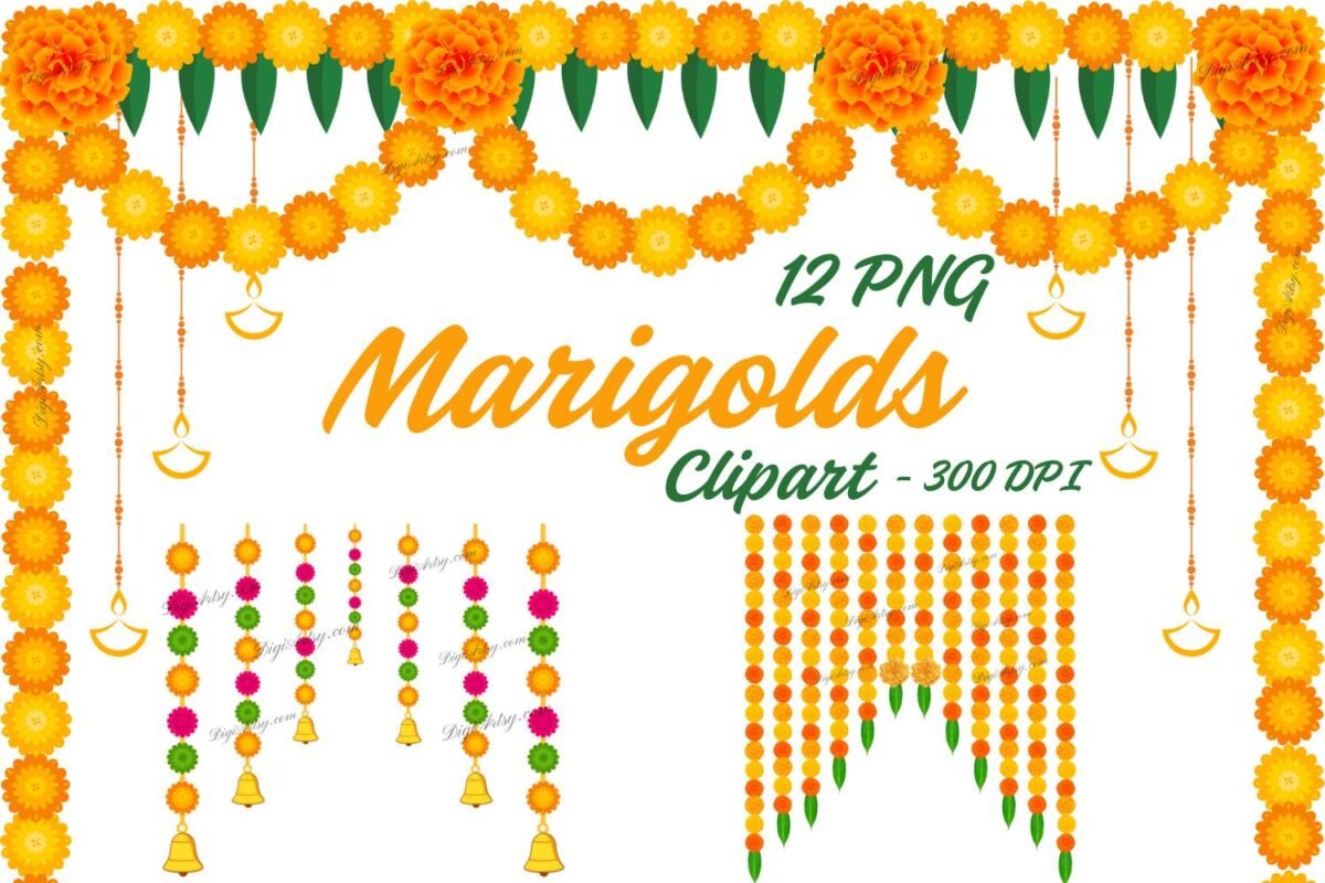 Marigold Flower clipart Bundle
