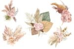 Dried Plants Clipart