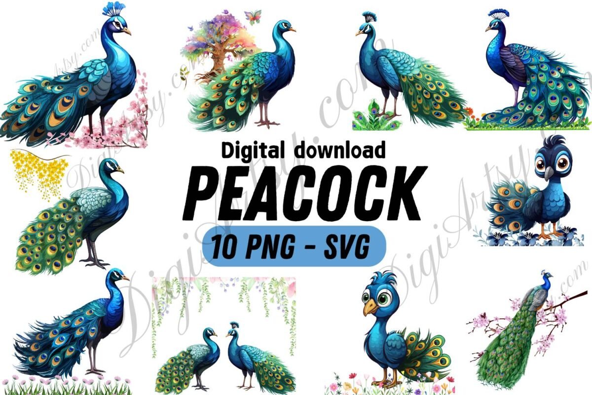 10 Adorable Peacock Clipart Bundle