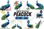 10 Adorable Peacock Clipart Bundle