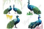 Watercolor Blue Peacocks Clipart