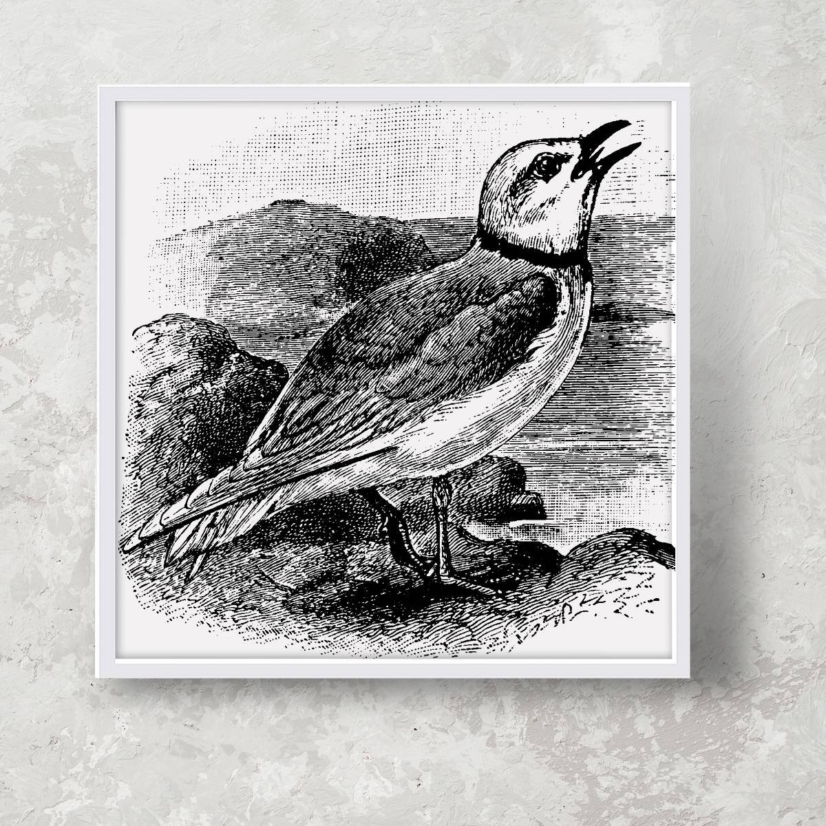 Vintage Bird Farmhouse Print Wall Art