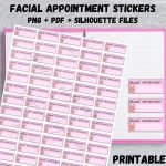 Facial appointment sticker for Planner